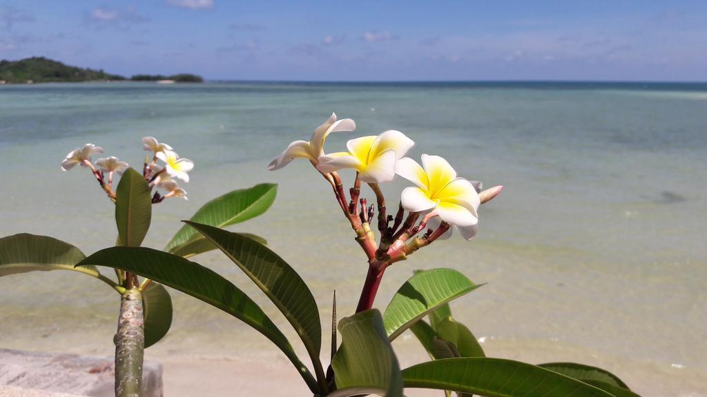 Papillon Resort Chaweng  Eksteriør bilde